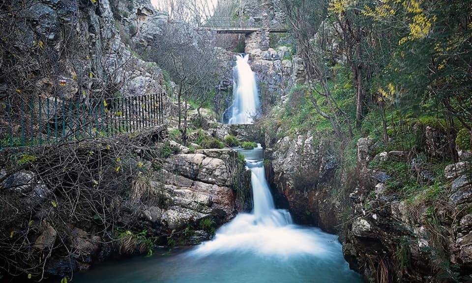 Villa Boutique Vila de Rei Kültér fotó